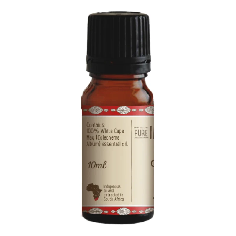 Pure Indigenous Cape May (Coleonema album) Essential Oil - Image 3